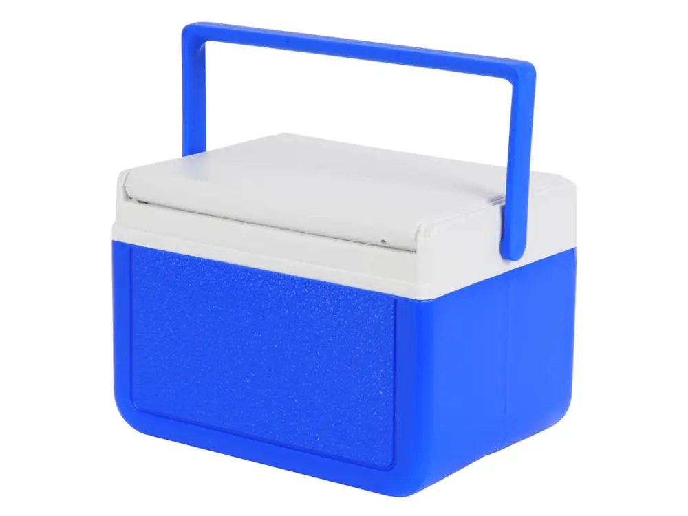 Compra Oggi Stesso Coleman Take 6 frigo box