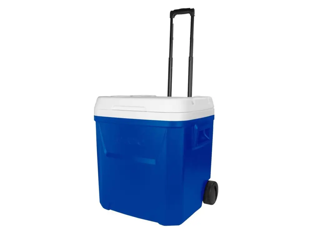 Igloo Laguna 60 Roller frigo box Compra Oggi Stesso