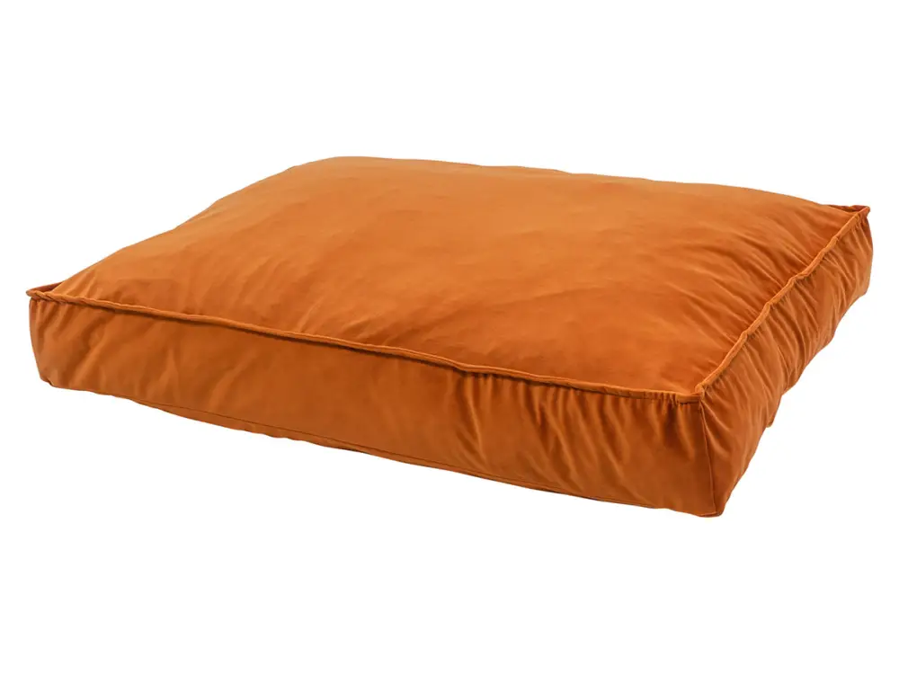 Madison Medium Lounge Velours Orange cuscino per cani Economico