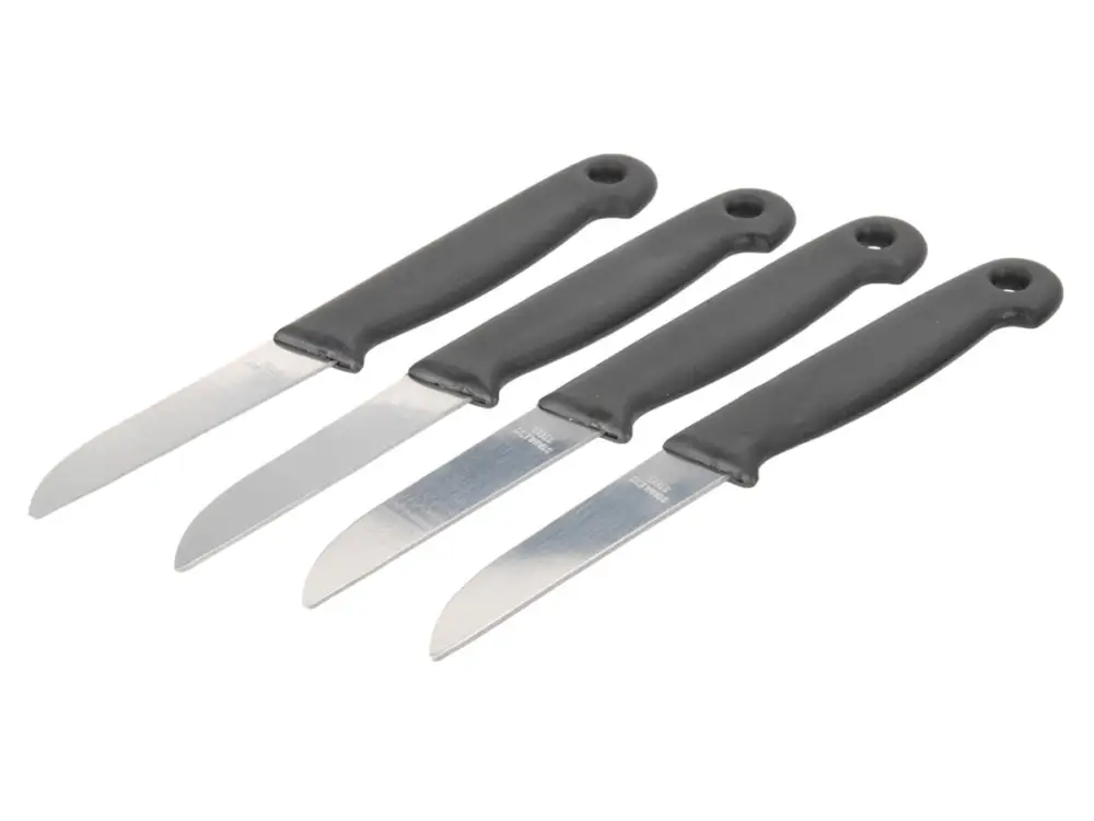 Compra Oggi Stesso Excellent Houseware coltelli da frutta e verdura 4 pezzi