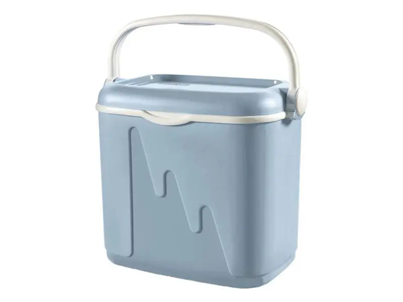 Occasione Imperdibile Curver frigo box - 32 l