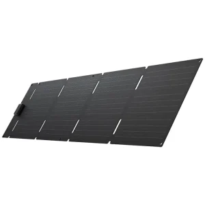 EcoFlow pannello fotovoltaico pieghevole - 60 W Economico