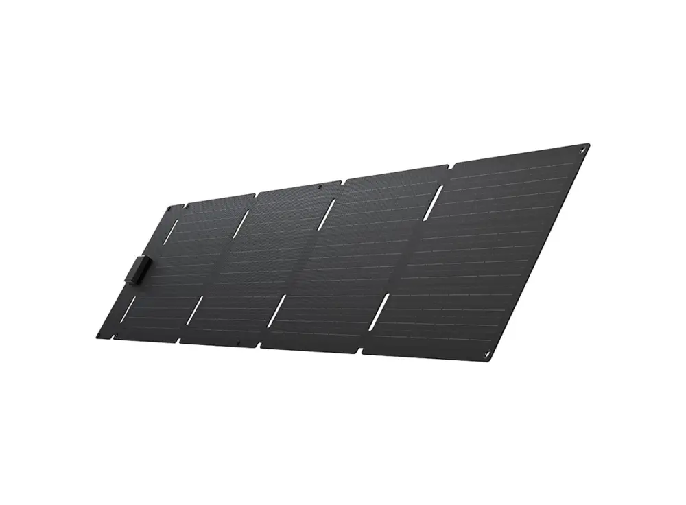 EcoFlow pannello fotovoltaico pieghevole - 60 W Economico