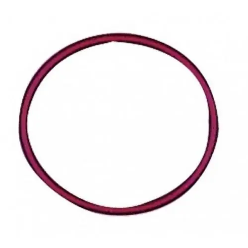 GUARNIZIONE SCARICO FUMI COMBI 40X2.5MM 110 3401.057 Prezzo Ridotto