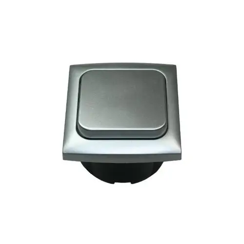 INTERRUTTORE UNIPOLARE + CORNICE + SCATOLA PROT. ARGENTO Esclusivo