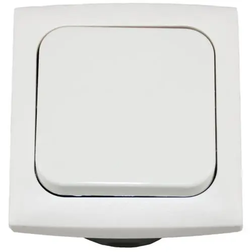 Offerta Del Giorno INTERRUTTORE UNIPOLARE + CORNICE + SCATOLA PROT. BIANCO