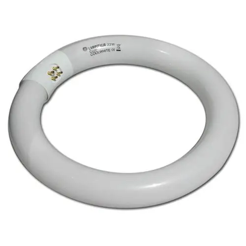 Ultime Pezzi LAMPADA NEON TIPO CIRCOLINA 22W 1250LUM FREDDO