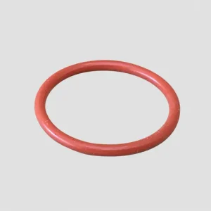 Compra Oggi Stesso O-ring 22 x 2