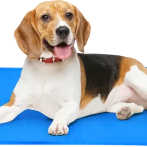 Pagamento Sicuro Tappetino rinfrescante Edco per animali domestici 50 x 40 cm