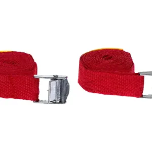 Cinghie di fissaggio HP Autozubehör per rimorchi 2,5 m x 25 mm 2 pezzi Reso Gratuito