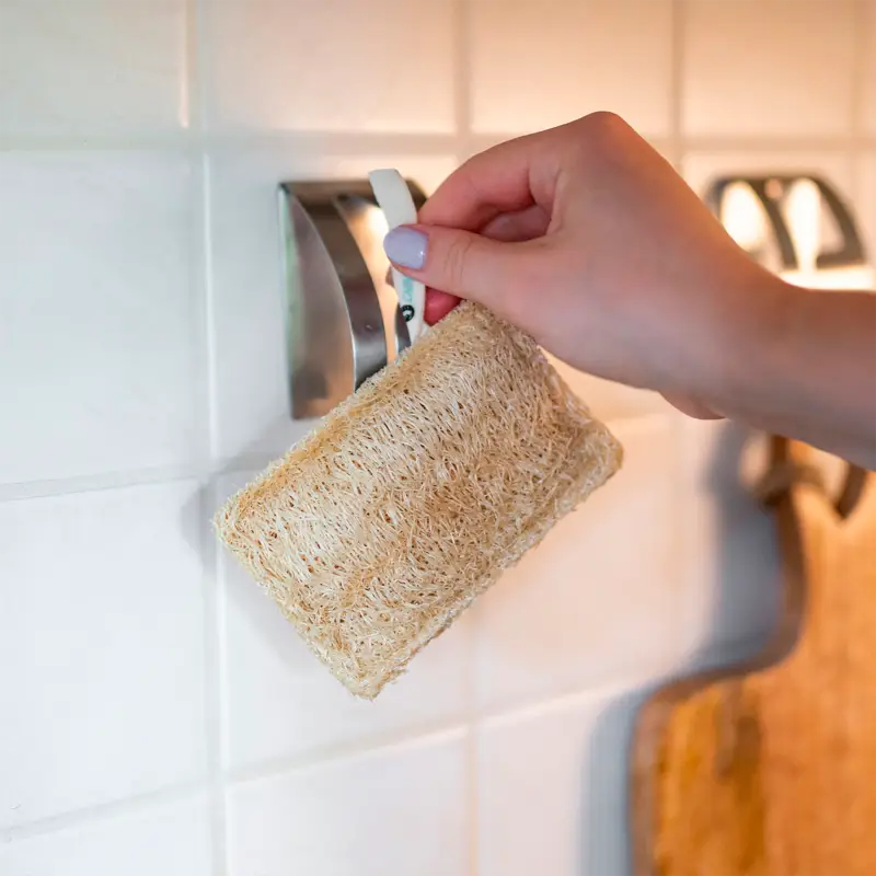 Spugne di risciacquo in luffa per cincillà riutilizzabili 7 pezzi Spedito Oggi