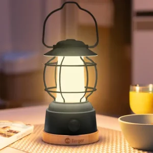 Economico Lanterna da campeggio a LED Berger Hopuni Pro dimmerabile