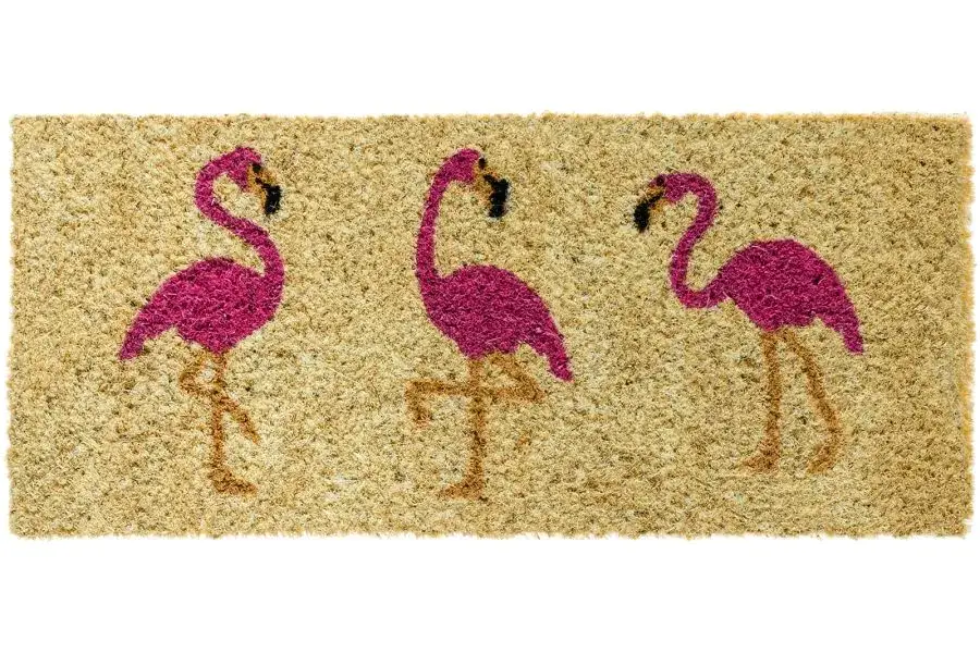 Offerta Del Giorno Zerbino Reds Duplo Fenicottero 23x53 cm