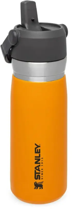 Più Venduto Borraccia Stanley Go Flip Straw Water Bottle 0.65L Saffron